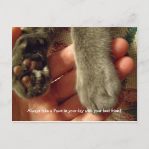 Beste Freunde Postkarte