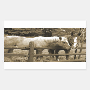 Beste Freunde Rechteckiger Aufkleber