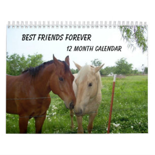 BESTE FREUNDIN-Best Friends Forever - 12 Monate Ka Kalender