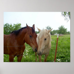 BESTE FREUNDIN Beste Freunde für immer Poster