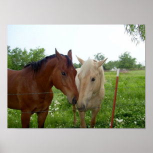 BESTE FREUNDIN Beste Freunde für immer Poster