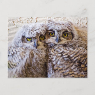 beste Freundin - Die besten Freunde für immer Postkarte