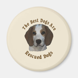 Beste Hunde werden gerettet - Beagle Magnet