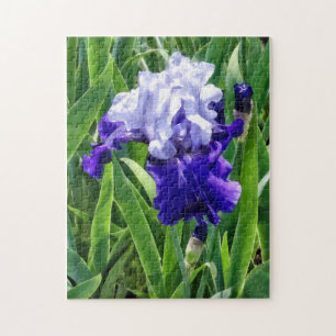 Beste-Iris Puzzle