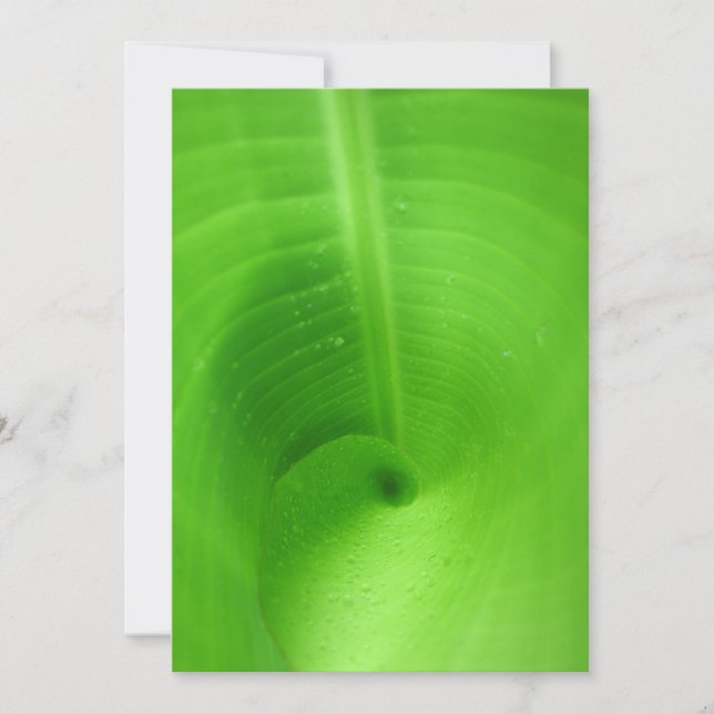 Beste Karte 5" x 7" (Vorderseite)