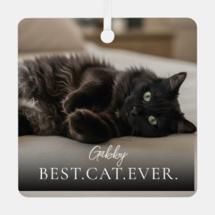Beste Katze Aller Zeiten Dein Name für das Haustie Ornament Aus Metall