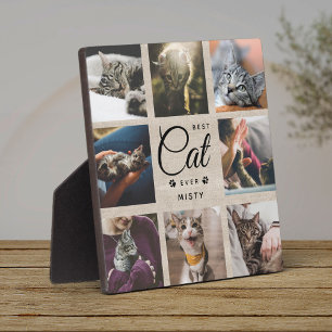 Beste Katze Aller Zeiten Gedenkgeschenk Rustikales Fotoplatte