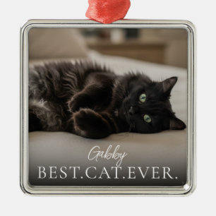 Beste Katze Aller Zeiten Name Deines Haustieres un Ornament Aus Metall