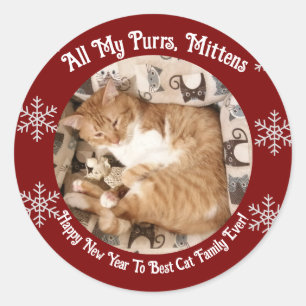 Beste Katzenfamilie überhaupt, Katzenfoto,  Runder Aufkleber