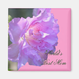 Beste Mama Rosa Azalea Blume Foto Magnet