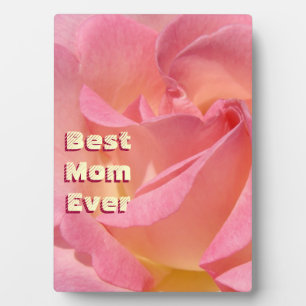 Beste-Mutter-aller-Zeiten-Schilder Pinke Rosenblum Fotoplatte
