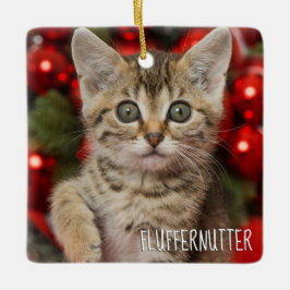 Beste Personalisierte Bildkat Kitten + Name Foto Keramikornament