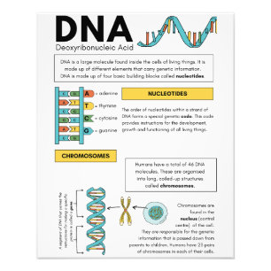 Beste Plakate für Kinder Fotodruck