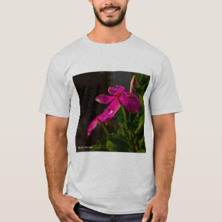 Beste T-Shirt
