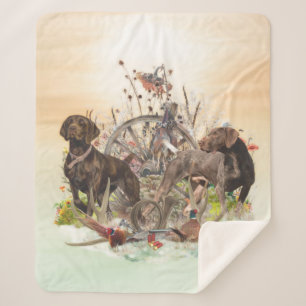 Beste Tageszeiten zum Jagen, GSP Sherpadecke
