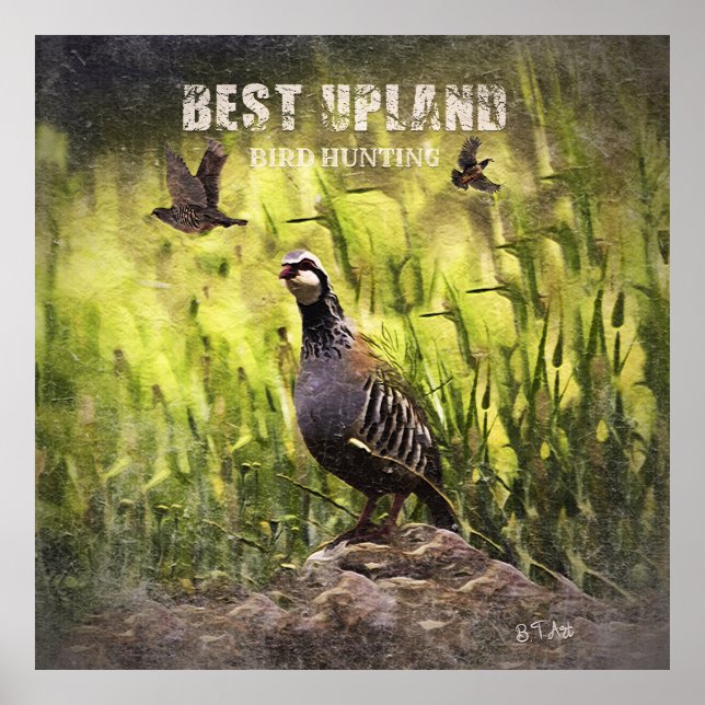 Beste Vogeljagd in Upland Poster (Vorne)