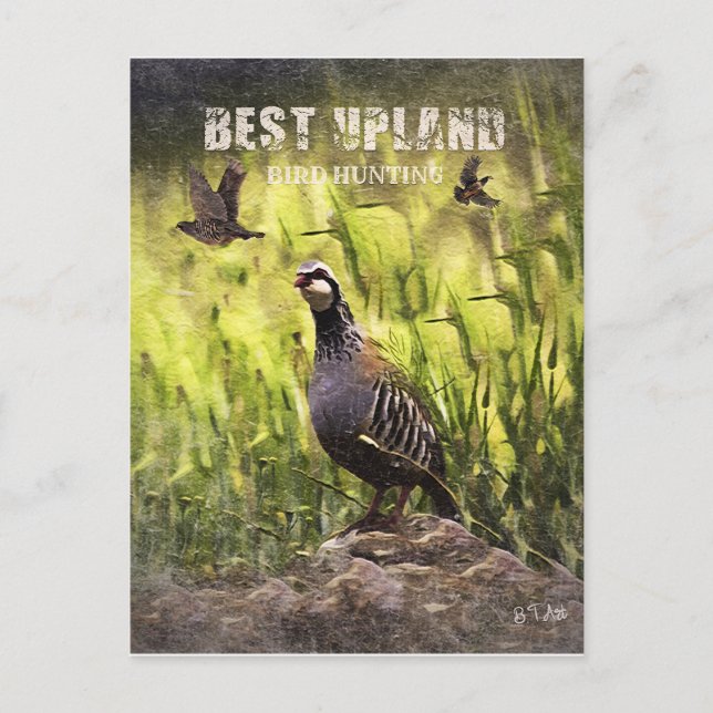 Beste Vogeljagd in Upland Postkarte (Vorderseite)