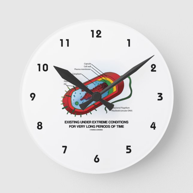 Besteht unter extremen Bedingungen sehr lange Runde Wanduhr (Vorderseite)