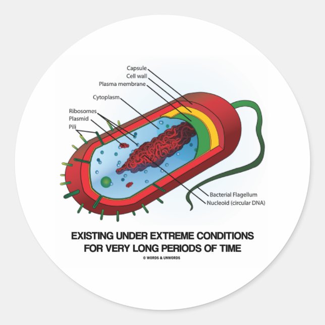 Besteht unter extremen Bedingungen sehr lange Runder Aufkleber (Vorderseite)