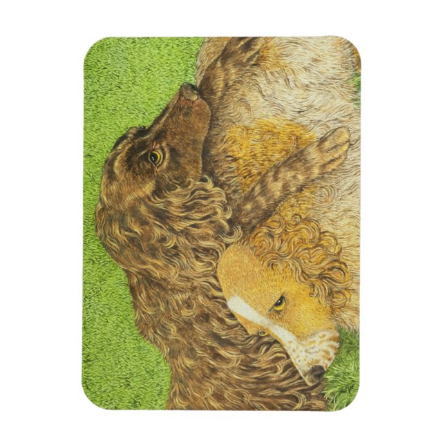 Besteigung Magnet (Vertikal)