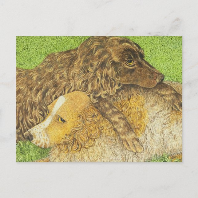 Besteigung Postkarte (Vorderseite)