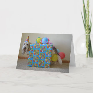 Bestellte jemand ein Geburtstagsgeschenk? Karte