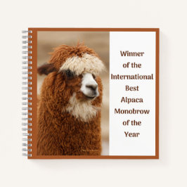Bester Alpaka-Monobrow Notizbuch