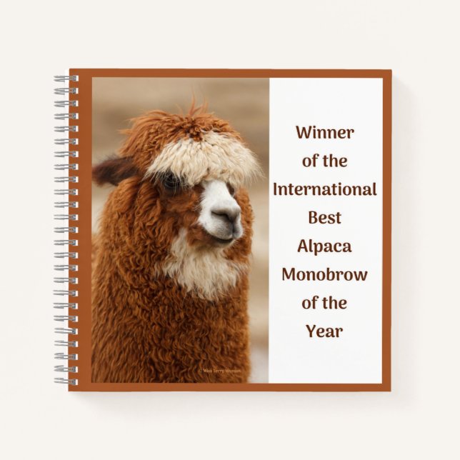 Bester Alpaka-Monobrow Notizbuch (Vorderseite)