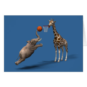 Bester Basketball-Scorer