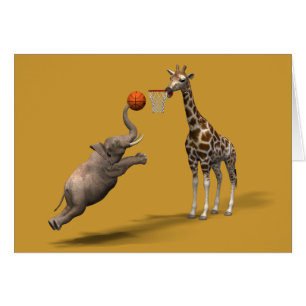 Bester Basketball-Scorer