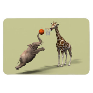 Bester Basketball-Scorer Magnet