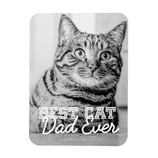 Bester Cat Vater je Modernes, benutzerdefiniertes  Magnet (Vertikal)