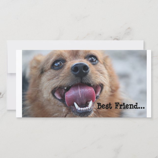 Bester Freund (Vorderseite)