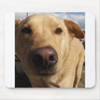 Bester Freund Mousepad