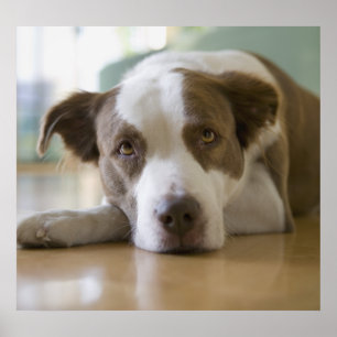 Bester Freund Poster