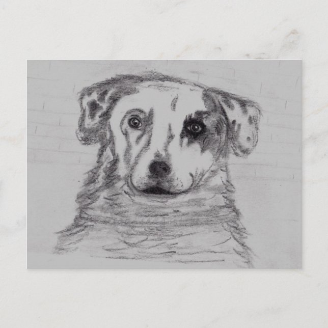 Bester Freund Postkarte (Vorderseite)