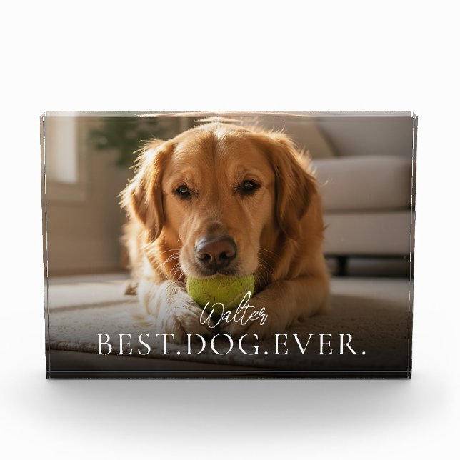 Bester Hund Aller Zeiten - Foto-Block für Haustier Fotoblock (Vorderseite)