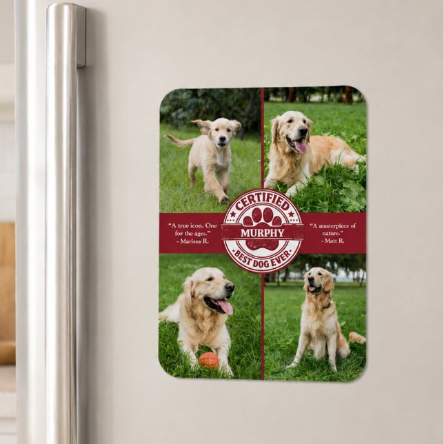 Bester Hund Aller Zeiten Foto-Collage Magnet (cute fun funny whimsical certified best dog ever review custom 4 pet photo flexible fridge magnet)