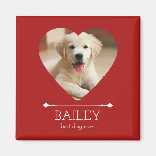 Bester Hund Aller Zeiten Individuelles Foto Roter Magnet