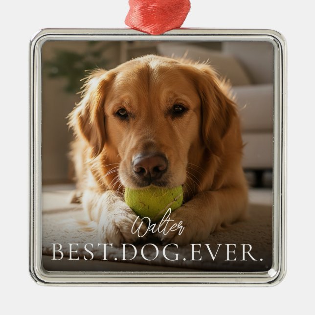 Bester Hund Aller Zeiten Name Deines Haustieres un Ornament Aus Metall (Vorne)