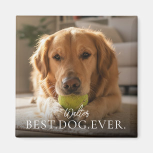 Bester Hund Aller Zeiten Name und Foto Ihres Haust Magnet