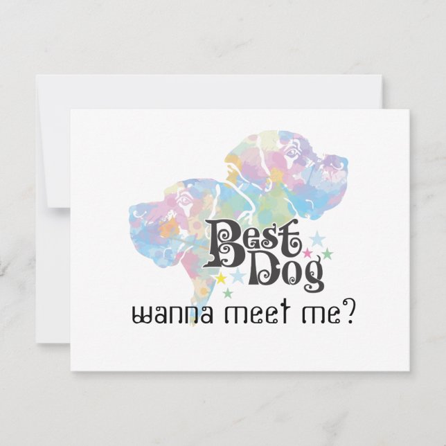 Bester Hund "farbig" (Vorderseite)