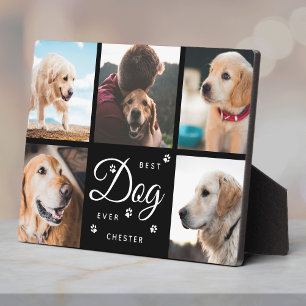 Bester Hund je Memorial Paws Modern Foto Collage Fotoplatte