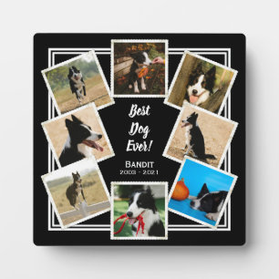 Bester Hund je Personalisiertes Foto Pet Memorial Fotoplatte
