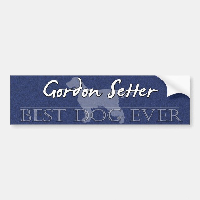 Bester Hundegordon-Setzer-Autoaufkleber Autoaufkleber (Vorne)