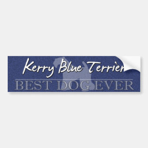 Bester Hundekerry-Blau-Terrier-Autoaufkleber Autoaufkleber