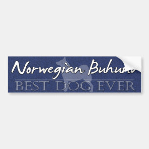 Bester Hundenorweger Buhund Autoaufkleber