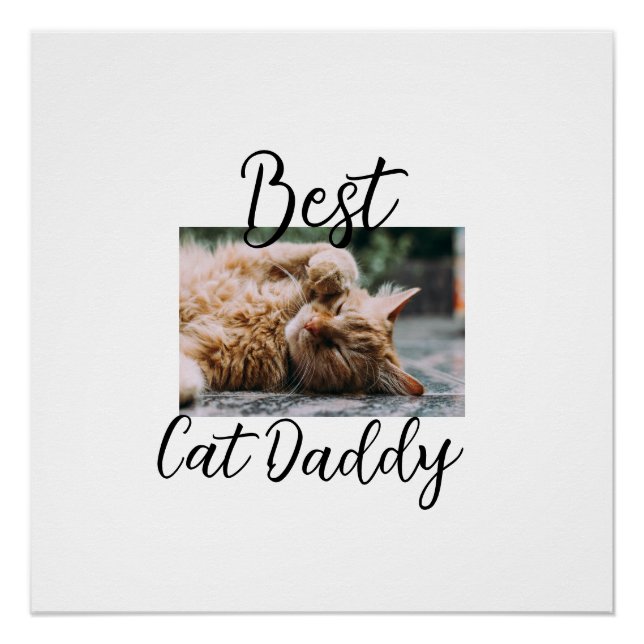 Bester Katzen-Daddy Elterntier-Foto Papa Mama einf Poster (Vorderseite)