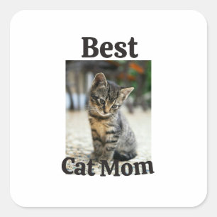 bester Katzen-Mama-Vater-Elterntier-Foto-Kätzchen- Quadratischer Aufkleber