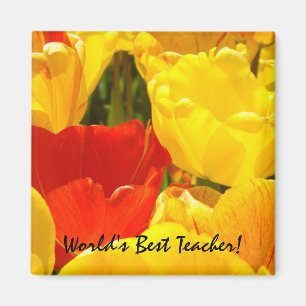 Bester Lehrer der Welt! Magnetgeschenke Tulpenblum Magnet